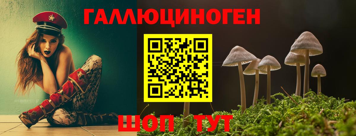 Псилоцибиновые грибы GOLDEN TEACHER Советский