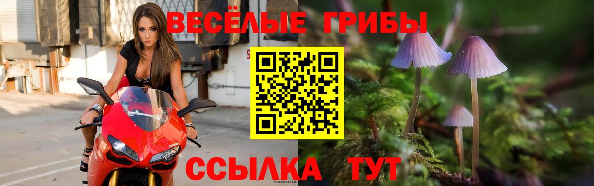 Советский  Псилоцибиновые грибы ЛСД  Вход с VPN 